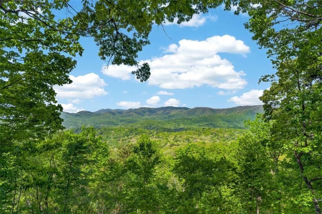 532 Cohutta Mountain Road, Blue Ridge, GA 30513 Main Photo