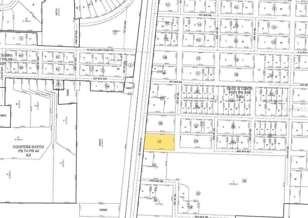 18843 N 41 Highway, Lutz, FL 33549 Photo