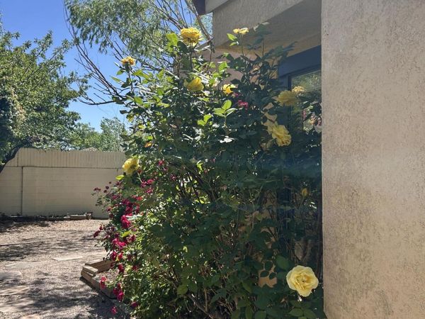 10816 Academy Ridge Road NE, Albuquerque, NM 87111