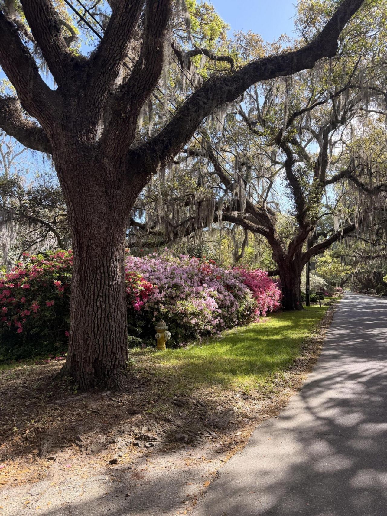 2166 Saint James Drive Photo 33