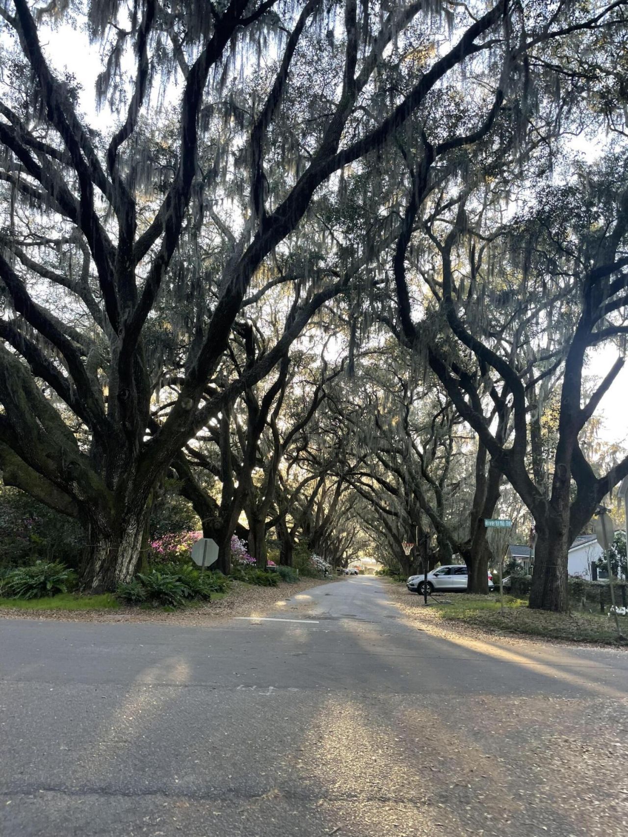 2166 Saint James Drive Photo 34