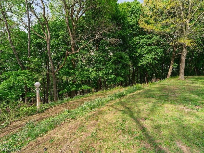 497 Moravian Trail, Uhrichsville, OH 44683 Photo 12