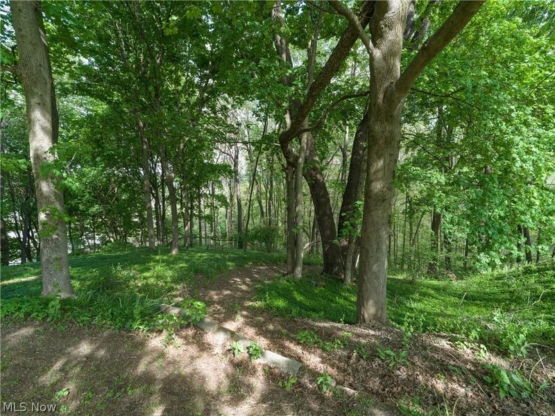 497 Moravian Trail, Uhrichsville, OH 44683 Photo 13