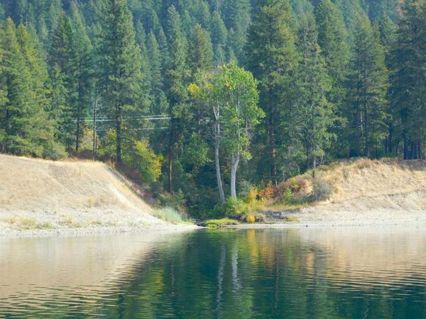 XX 20 Hwy, Cusick, WA 99119