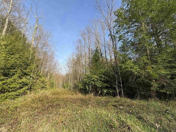 Lot 80 Gondola Court, Davis, WV 26260