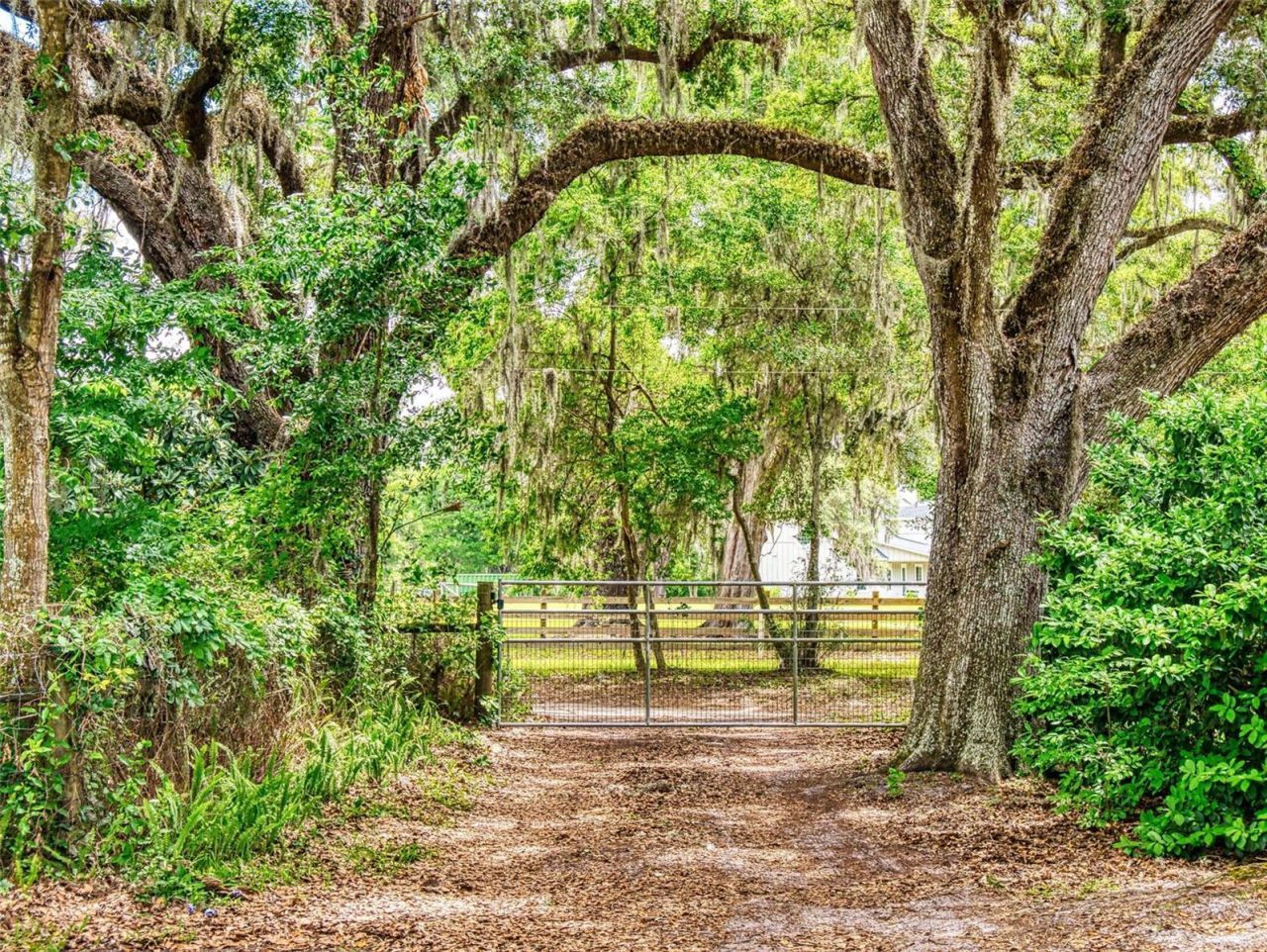 2713 Cr 776, Webster, FL 33597 Photo