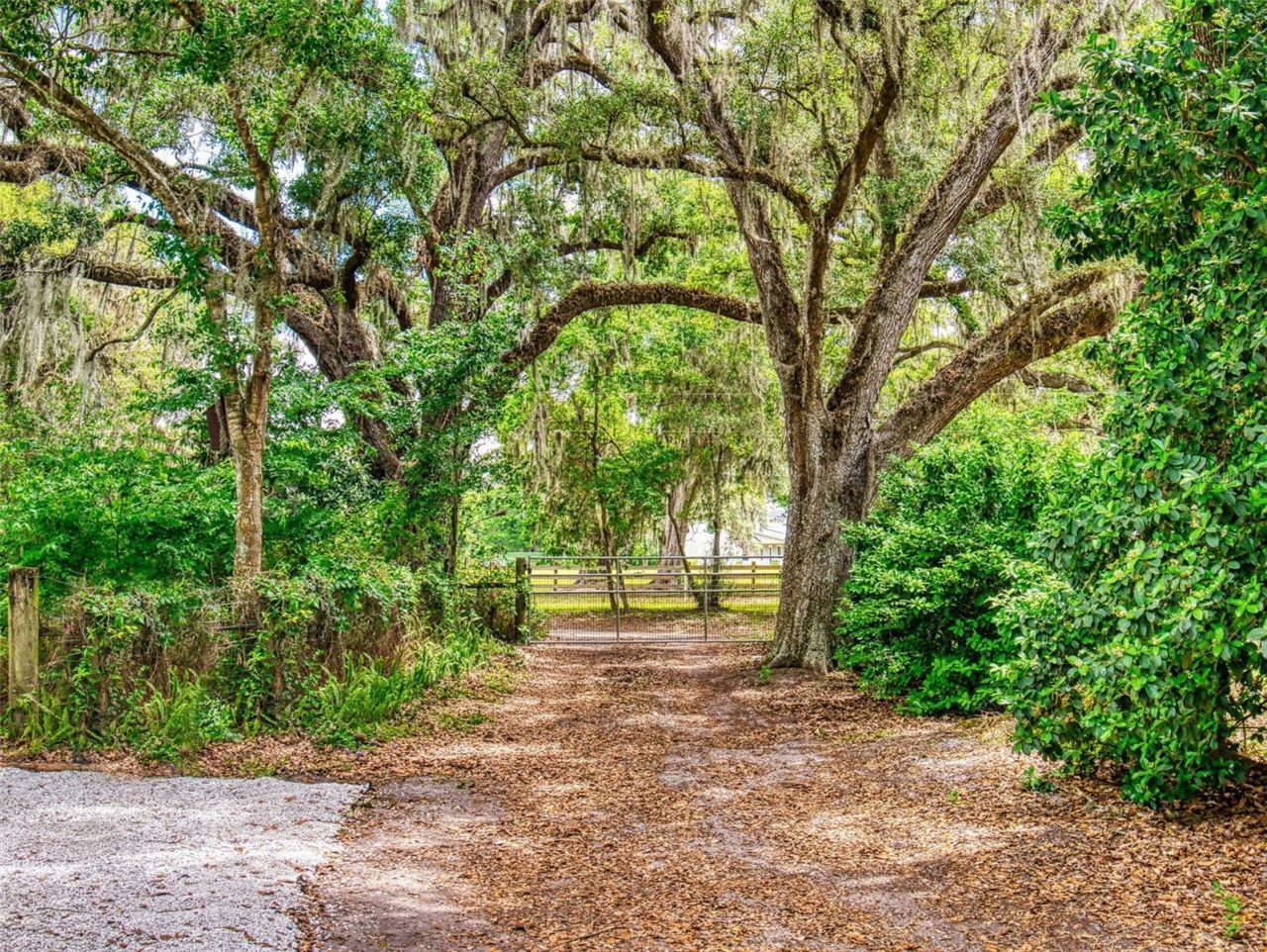 2713 Cr 776, Webster, FL 33597 Photo