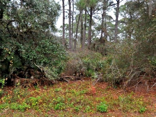 NEON AVENUE , NORTH PORT, FL 34291