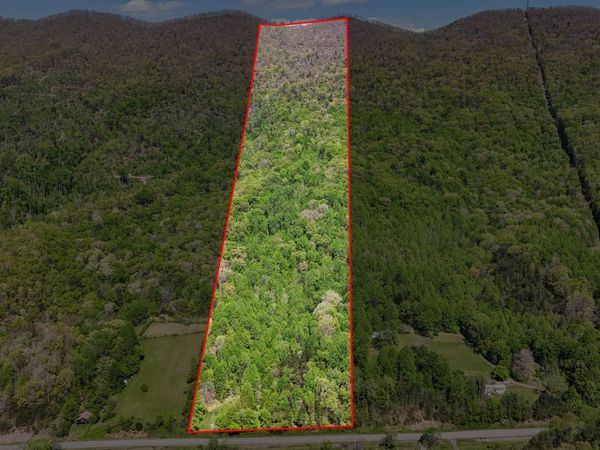 0 Mendota Road, Mendota, VA 24270