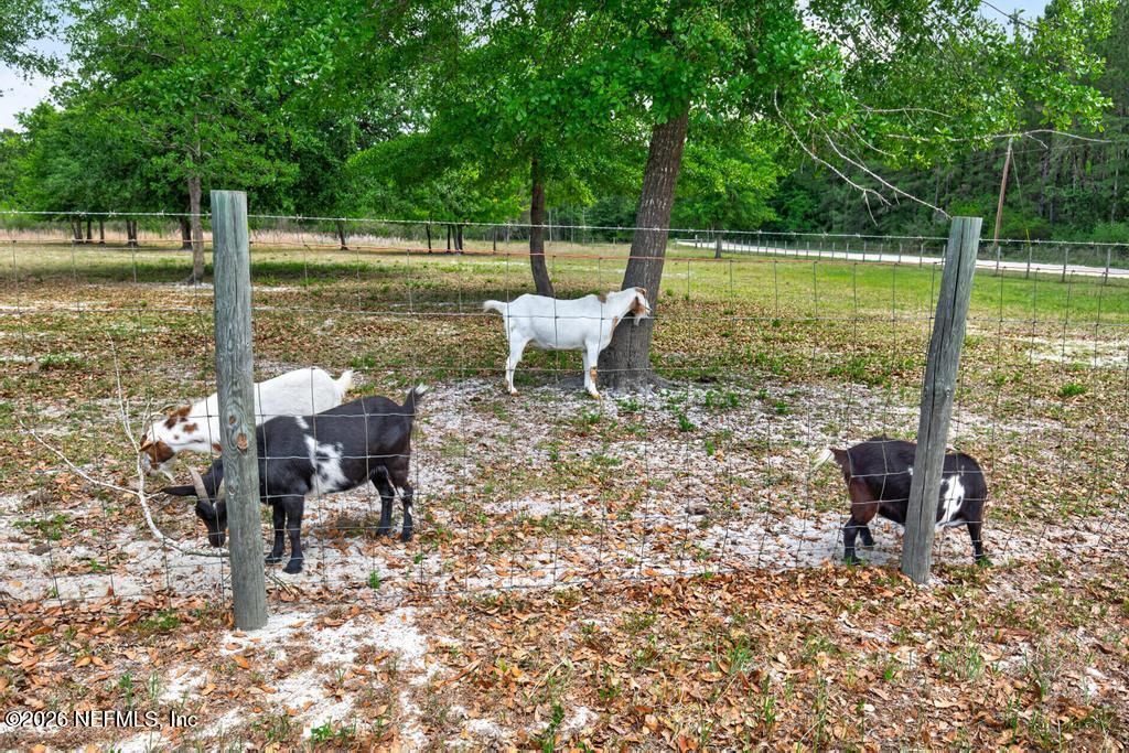 391200 Prospect Landing Road, Hilliard, FL 32046 Photo