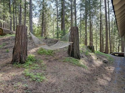 789 Sawmill Rd, Alta, CA 95701 Photo
