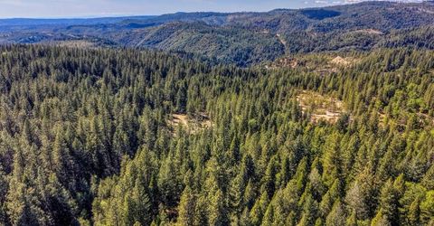 789 Sawmill Rd, Alta, CA 95701 Photo