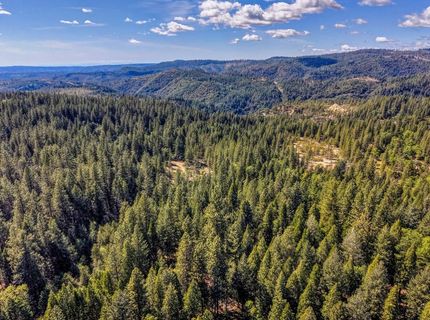 789 Sawmill Rd, Alta, CA 95701 Photo
