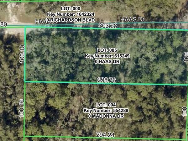 0 HAAS DRIVE , WEBSTER, FL 33597