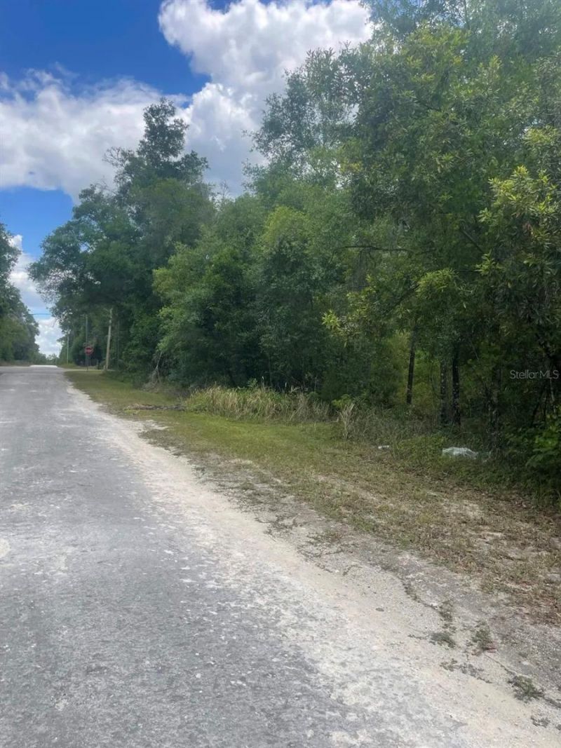 0 Haas Drive , Webster, FL 33597 Photo