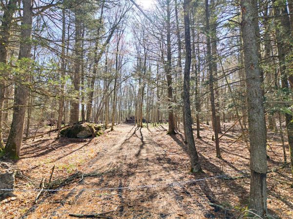 Crawford Road , Eldred, NY 12528