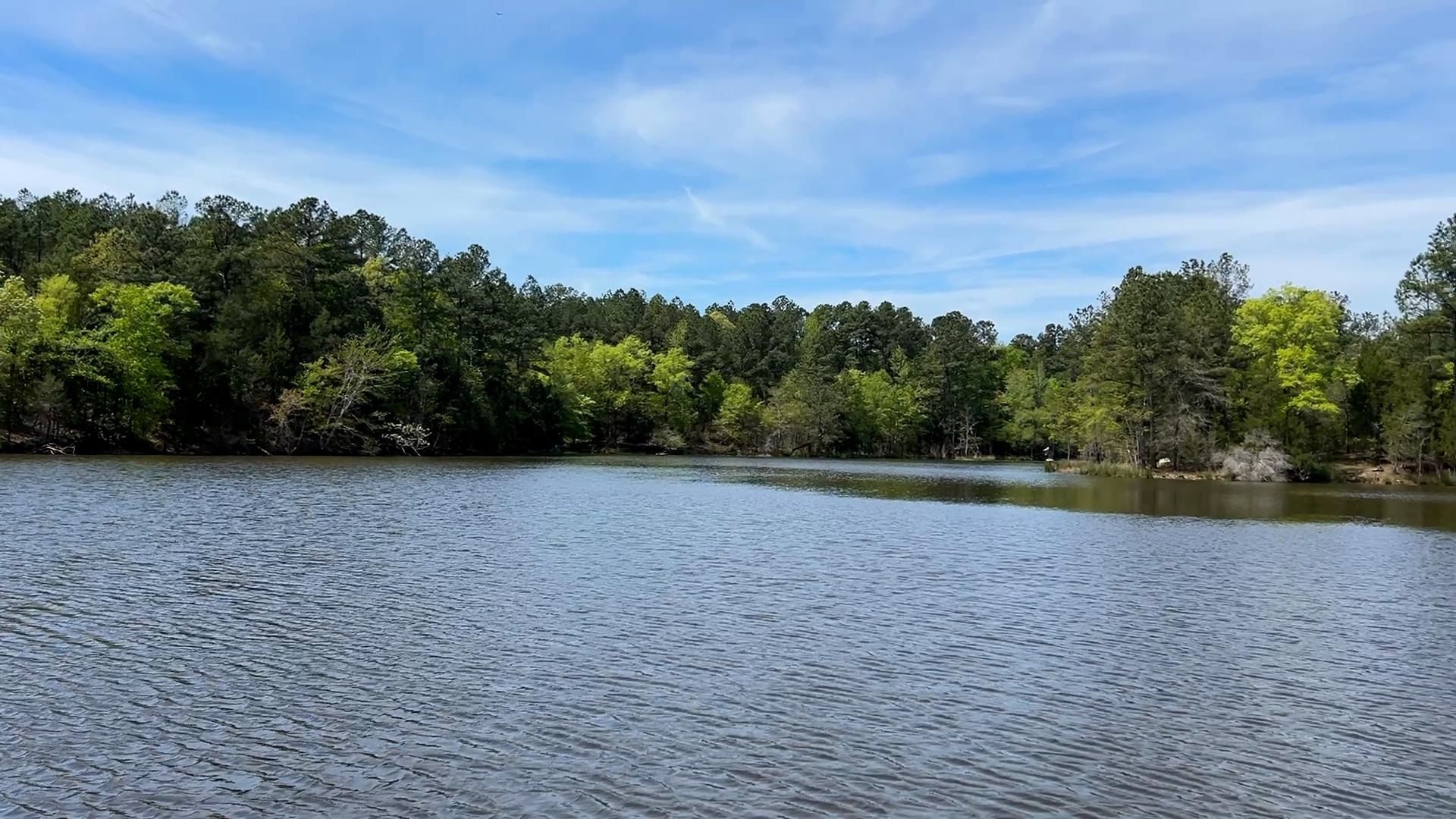 187 Ibis Ln.  Photo 11