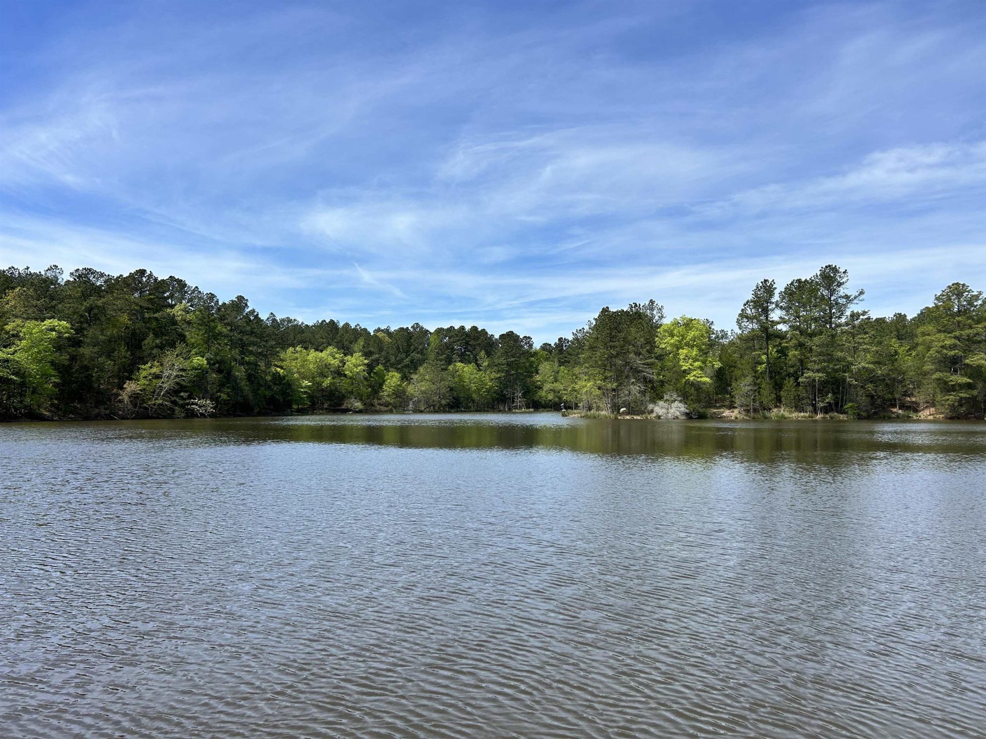 187 Ibis Ln.  Photo 22