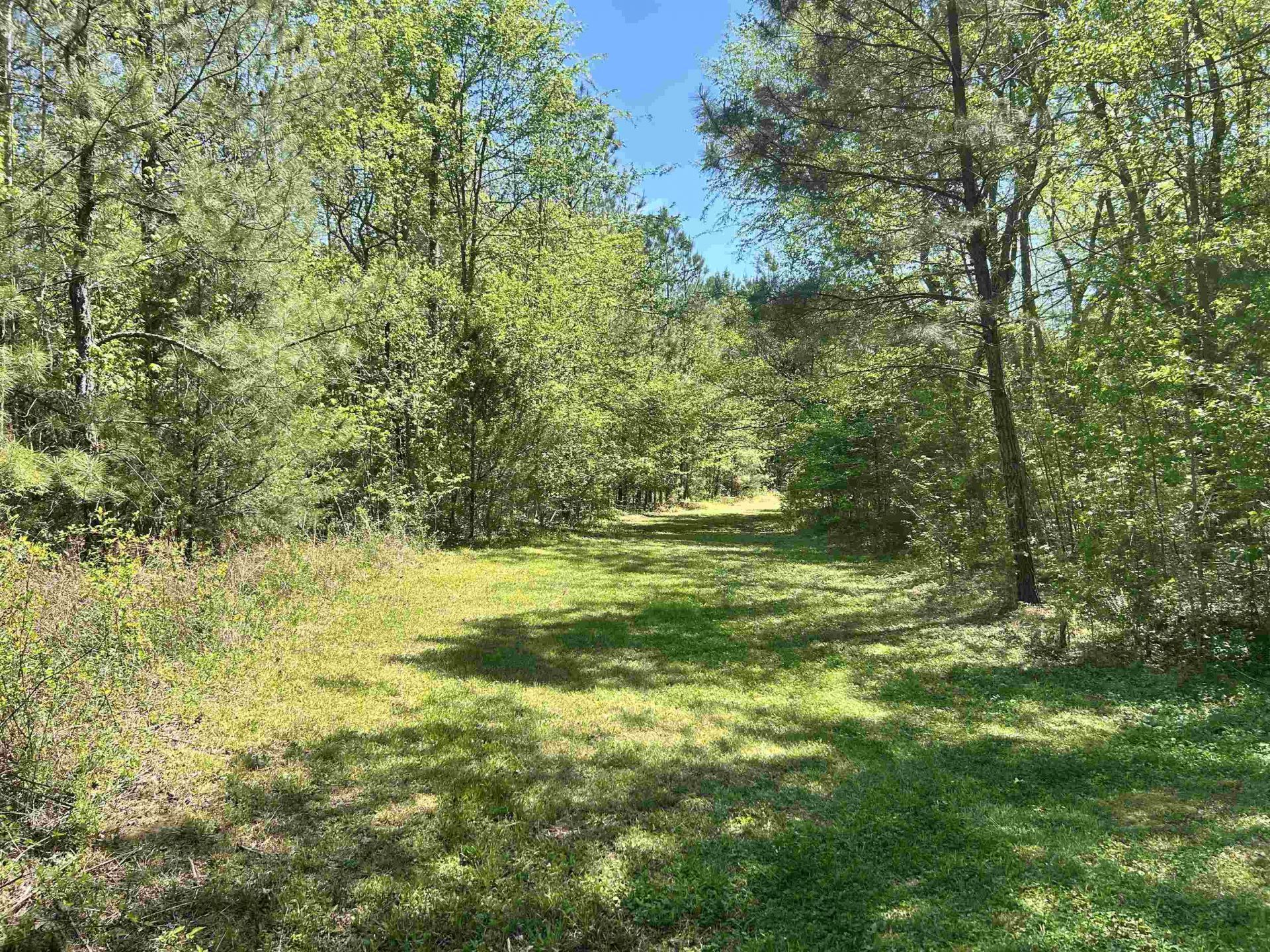 187 Ibis Ln.  Photo 29