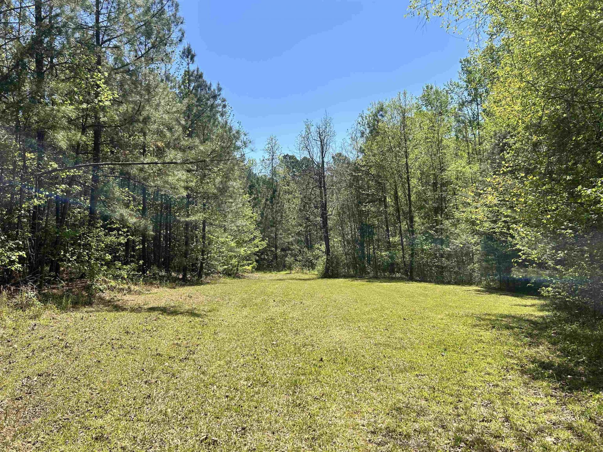 187 Ibis Ln.  Photo 30