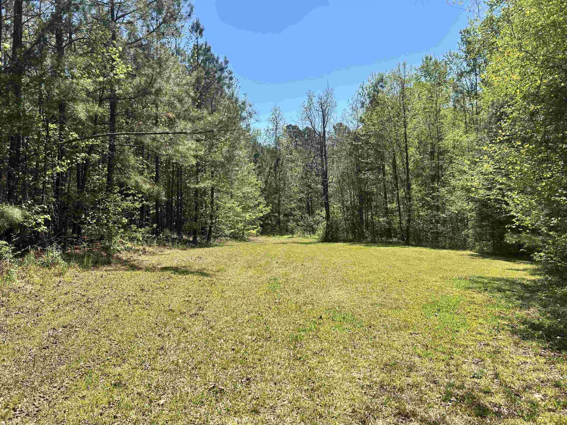 187 Ibis Ln.  Photo 31