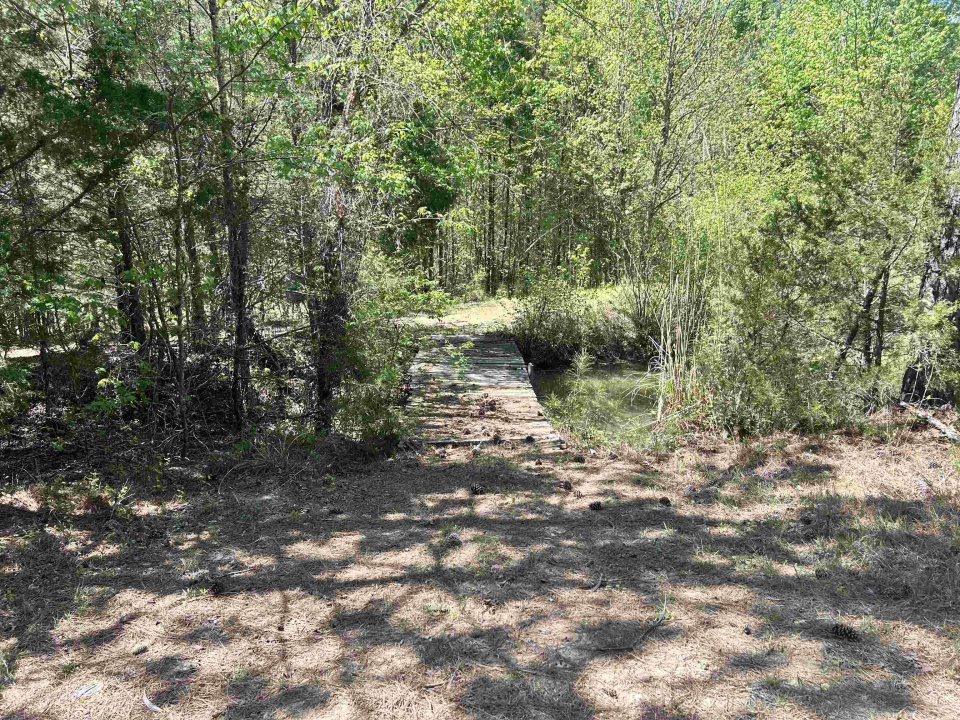 187 Ibis Ln.  Photo 32