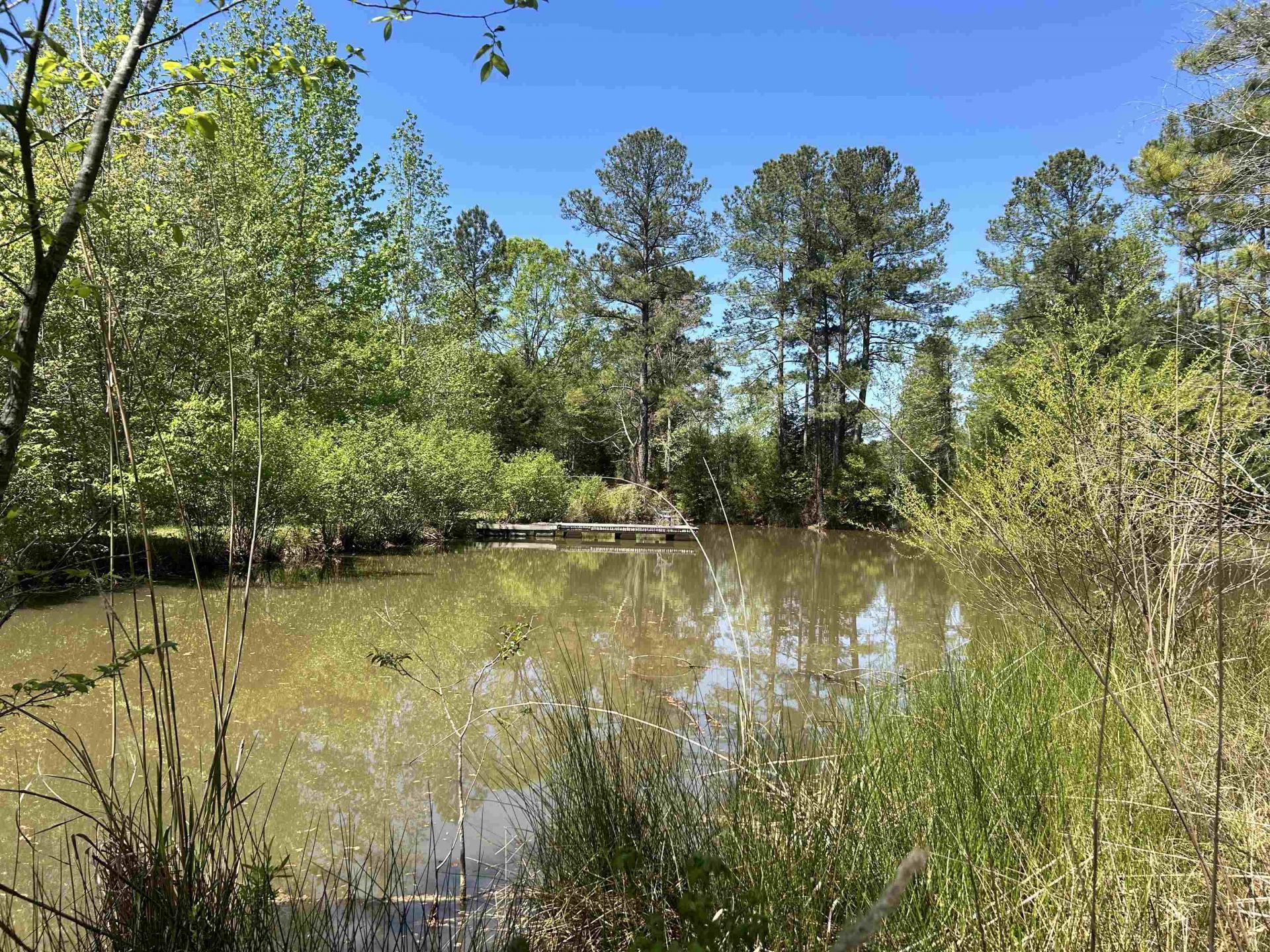 187 Ibis Ln.  Photo 33