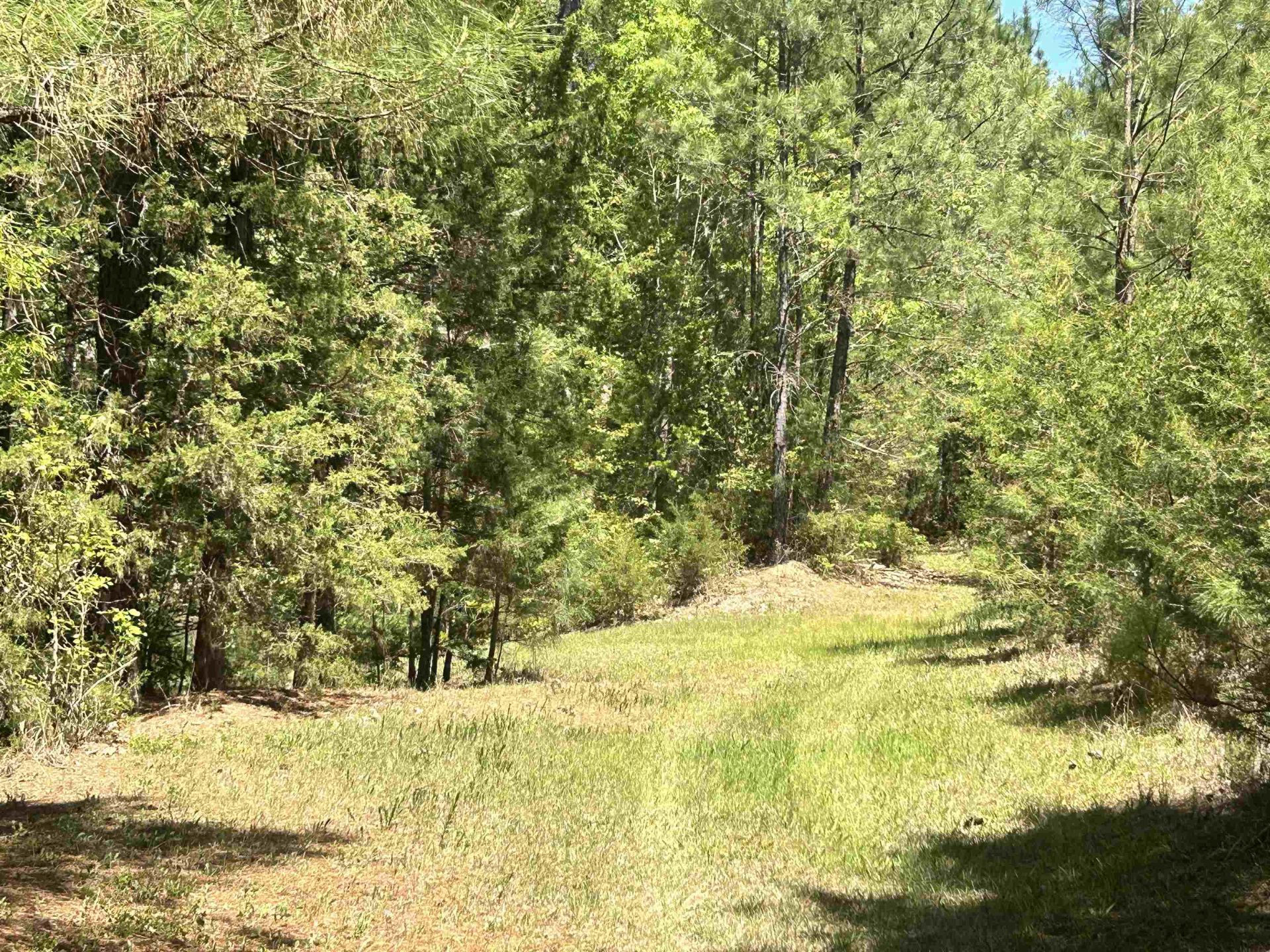 187 Ibis Ln.  Photo 36