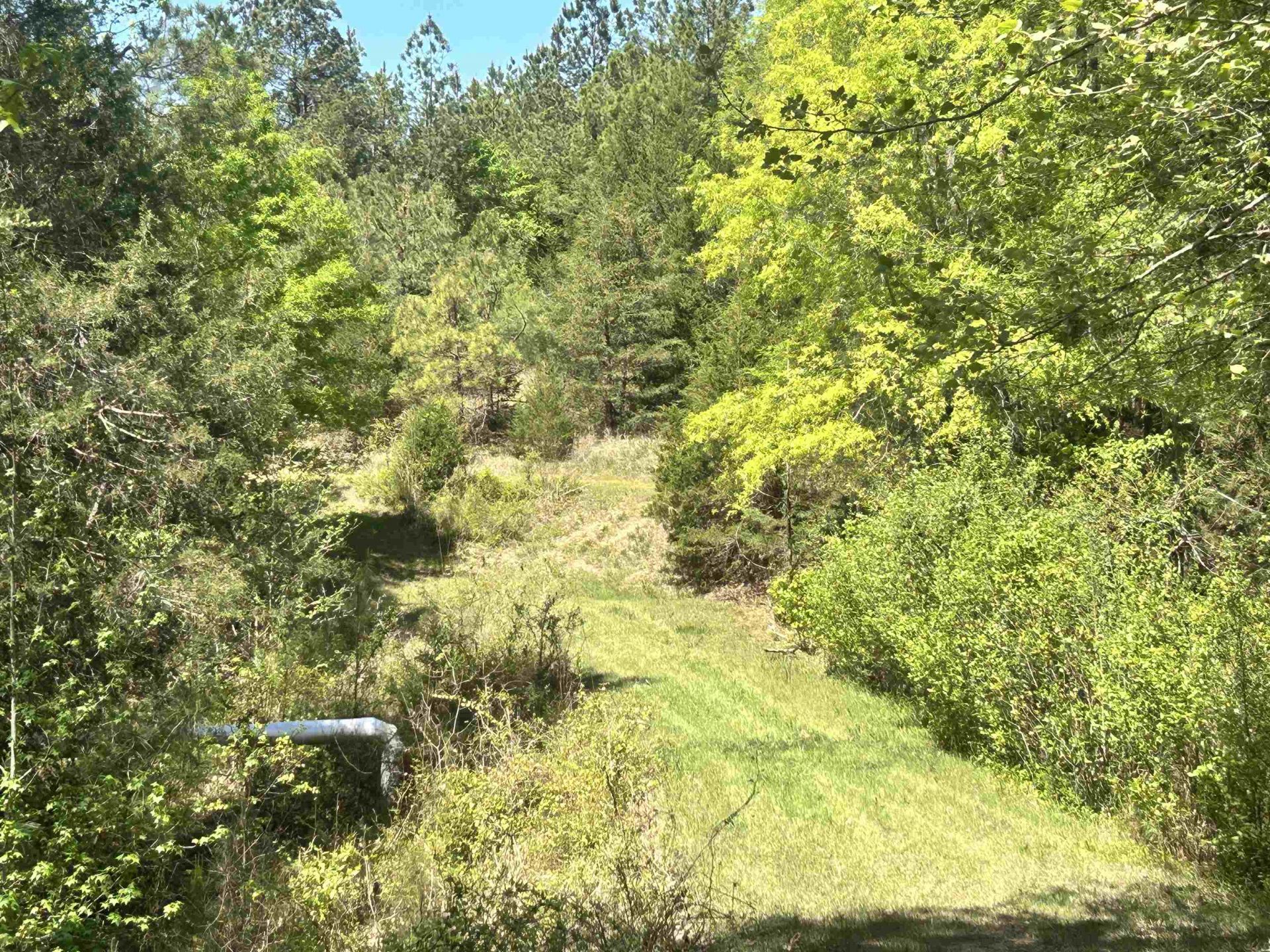 187 Ibis Ln.  Photo 37