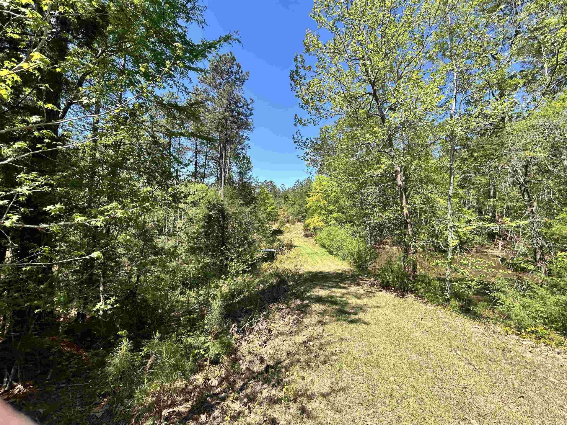 187 Ibis Ln.  Photo 38