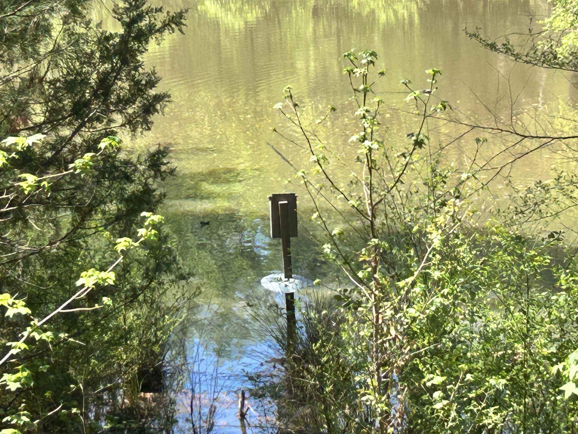 187 Ibis Ln.  Photo 39