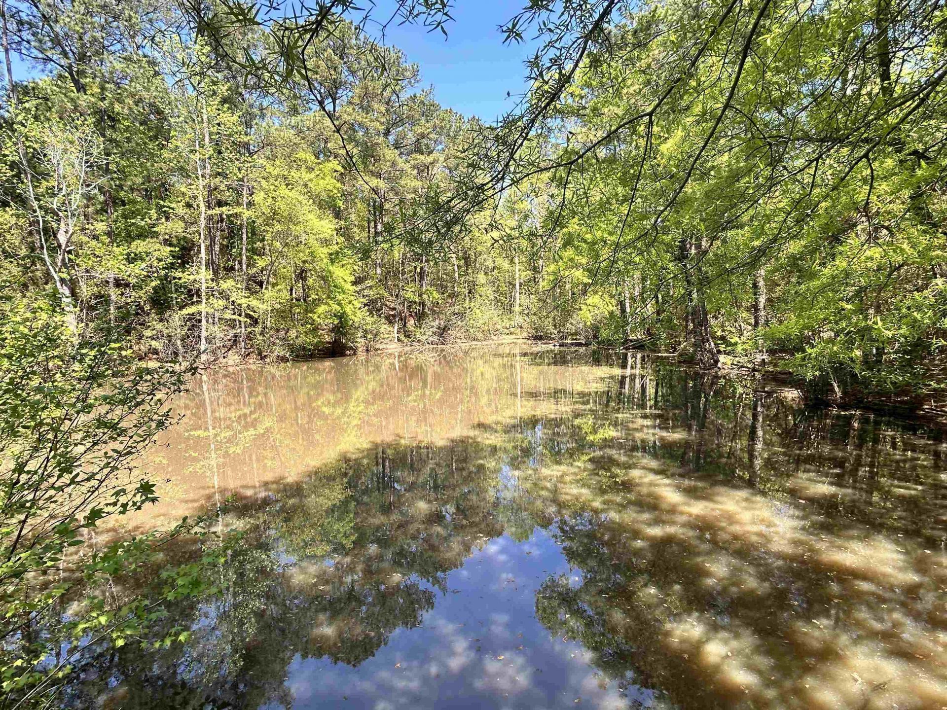 187 Ibis Ln.  Photo 40