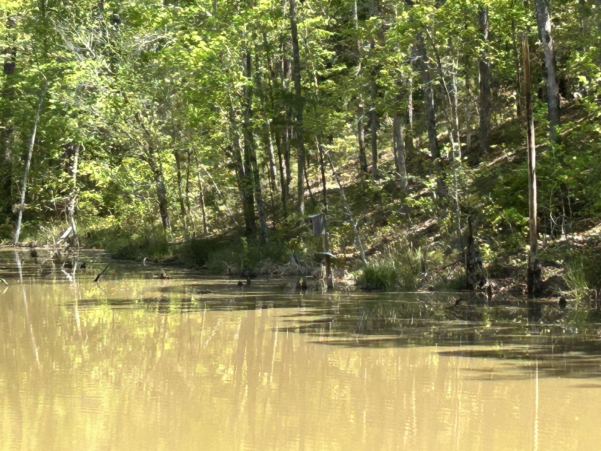 187 Ibis Ln.  Photo 43