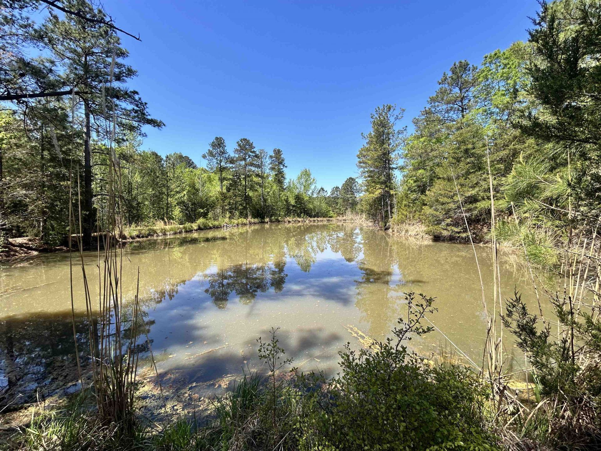 187 Ibis Ln.  Photo 45