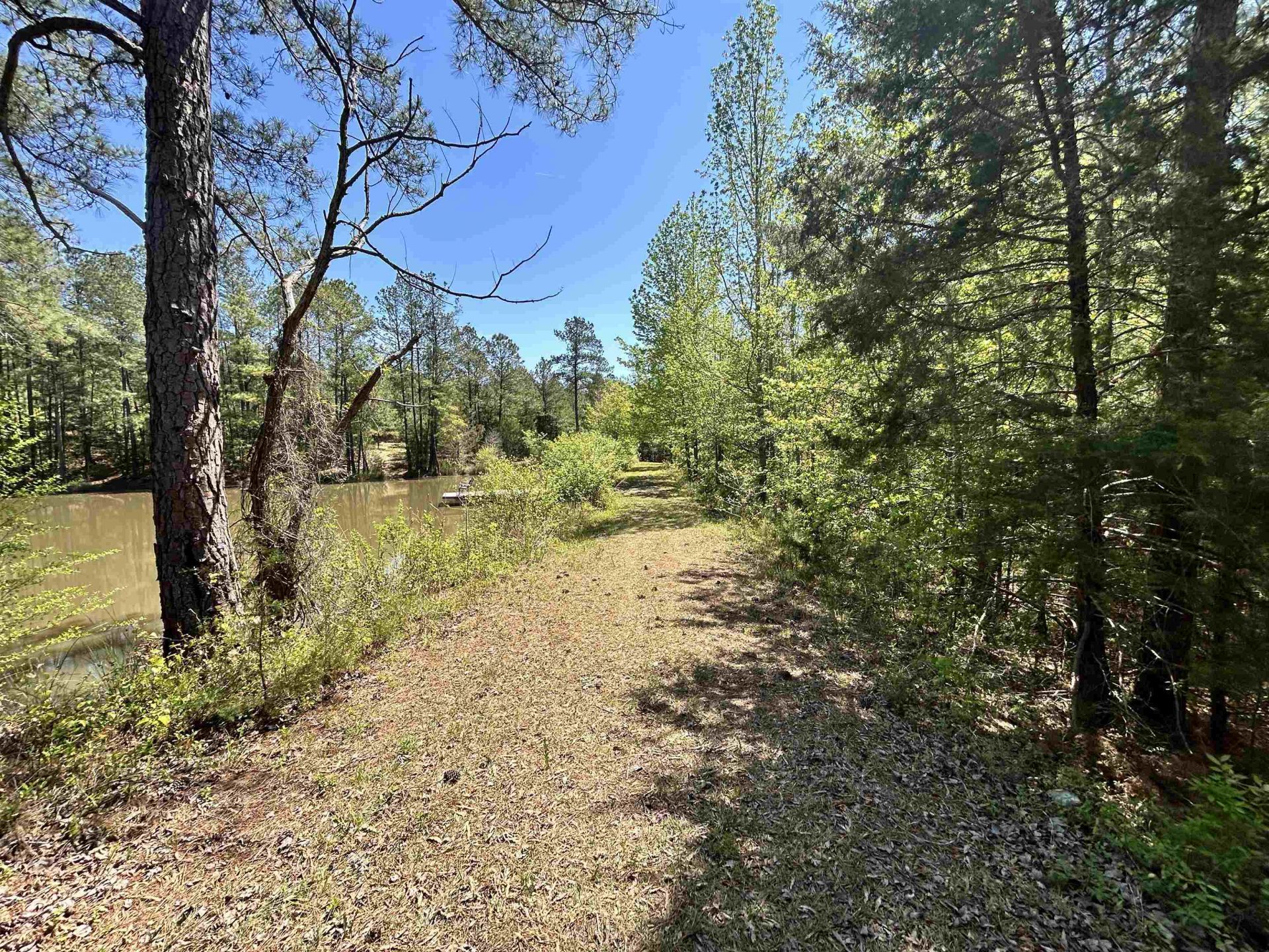 187 Ibis Ln.  Photo 49