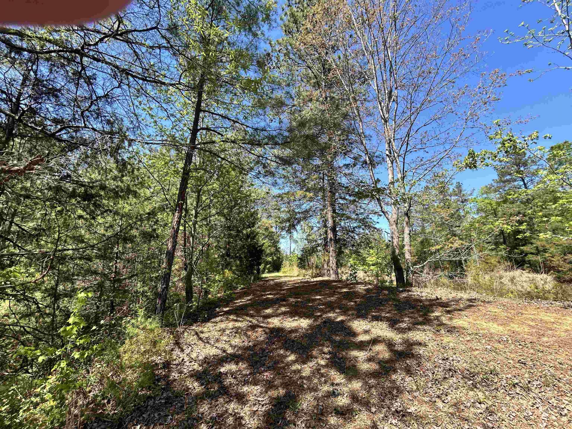 187 Ibis Ln.  Photo 51