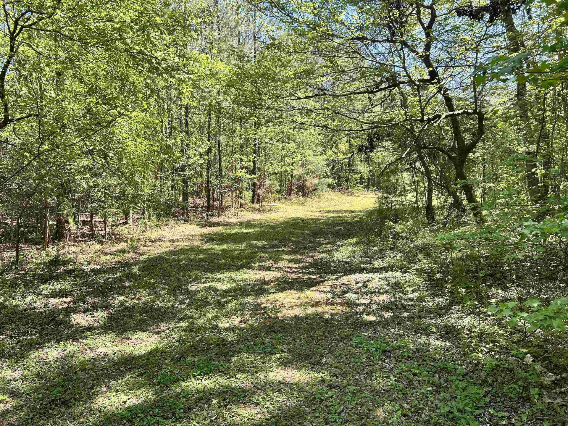 187 Ibis Ln.  Photo 52