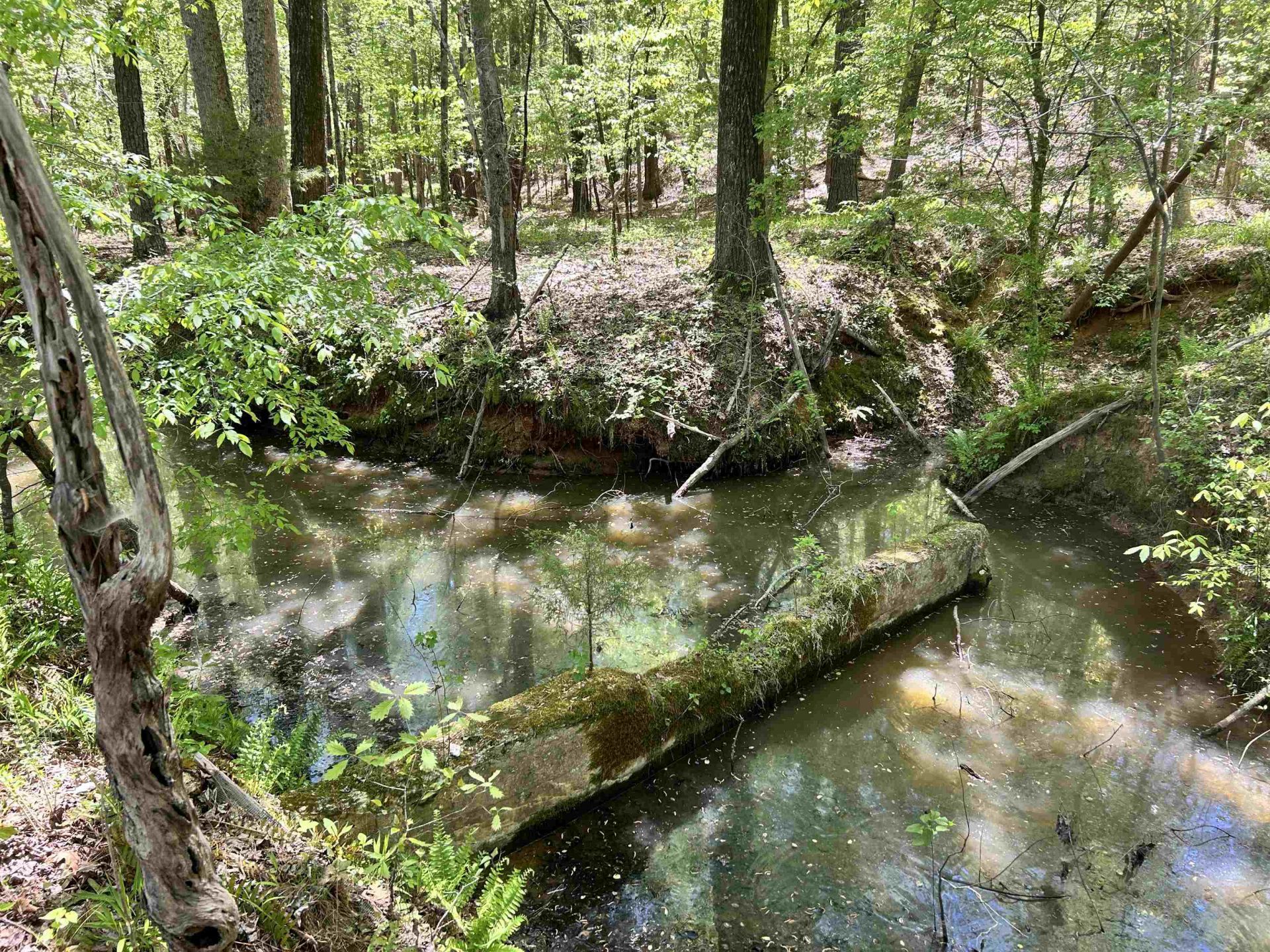 187 Ibis Ln.  Photo 53