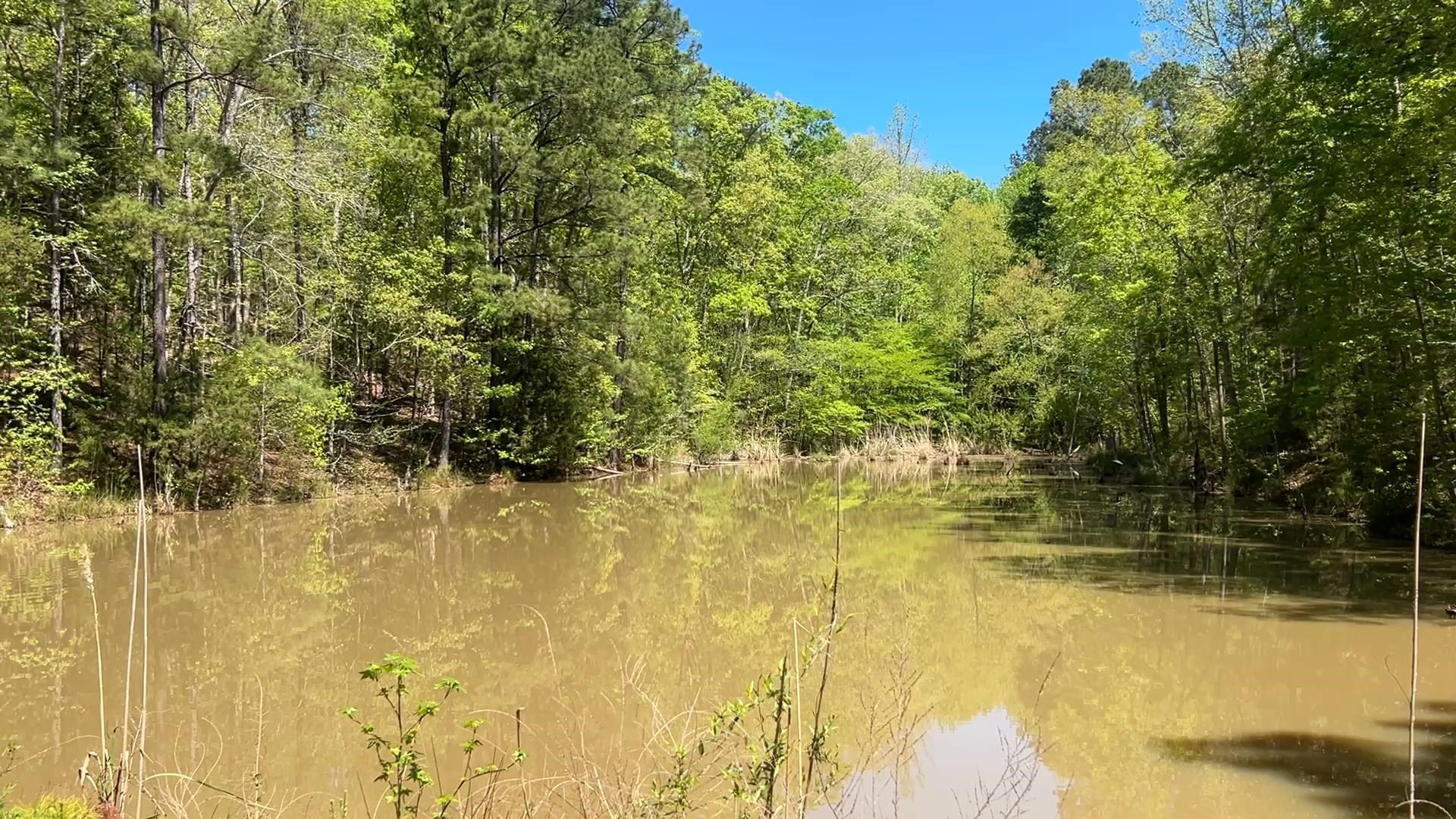 187 Ibis Ln.  Photo 54