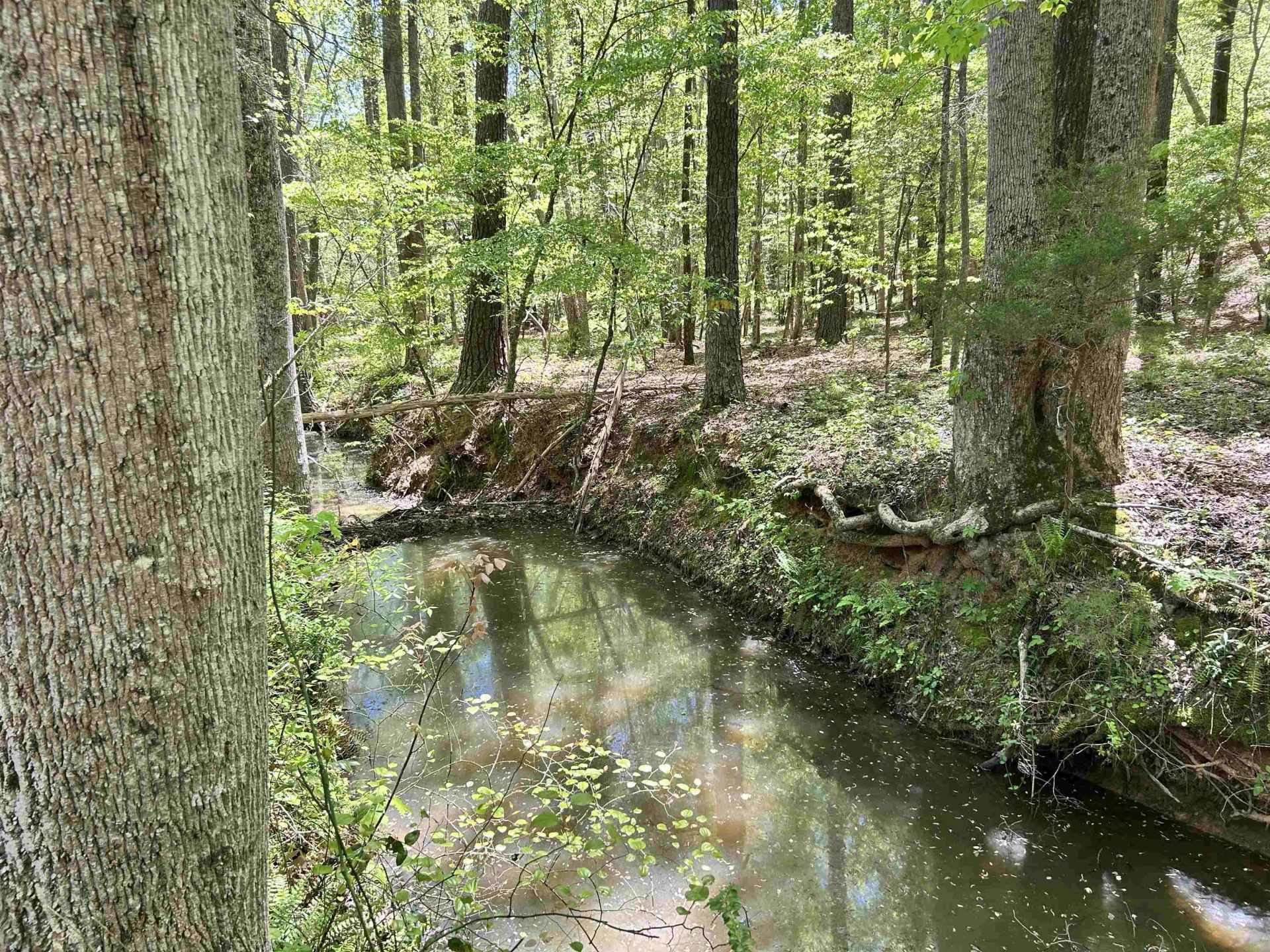 187 Ibis Ln.  Photo 56