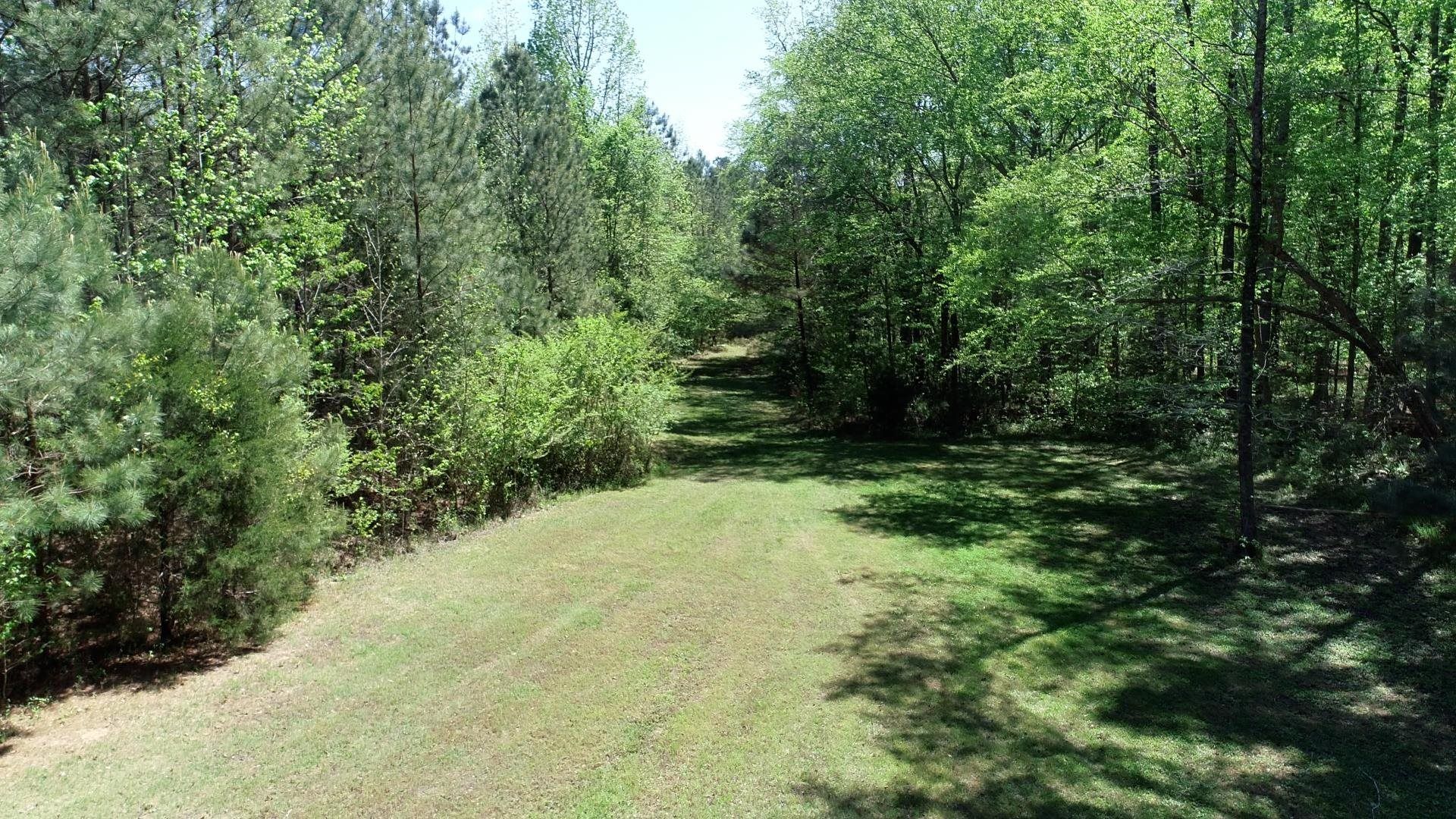 187 Ibis Ln.  Photo 59