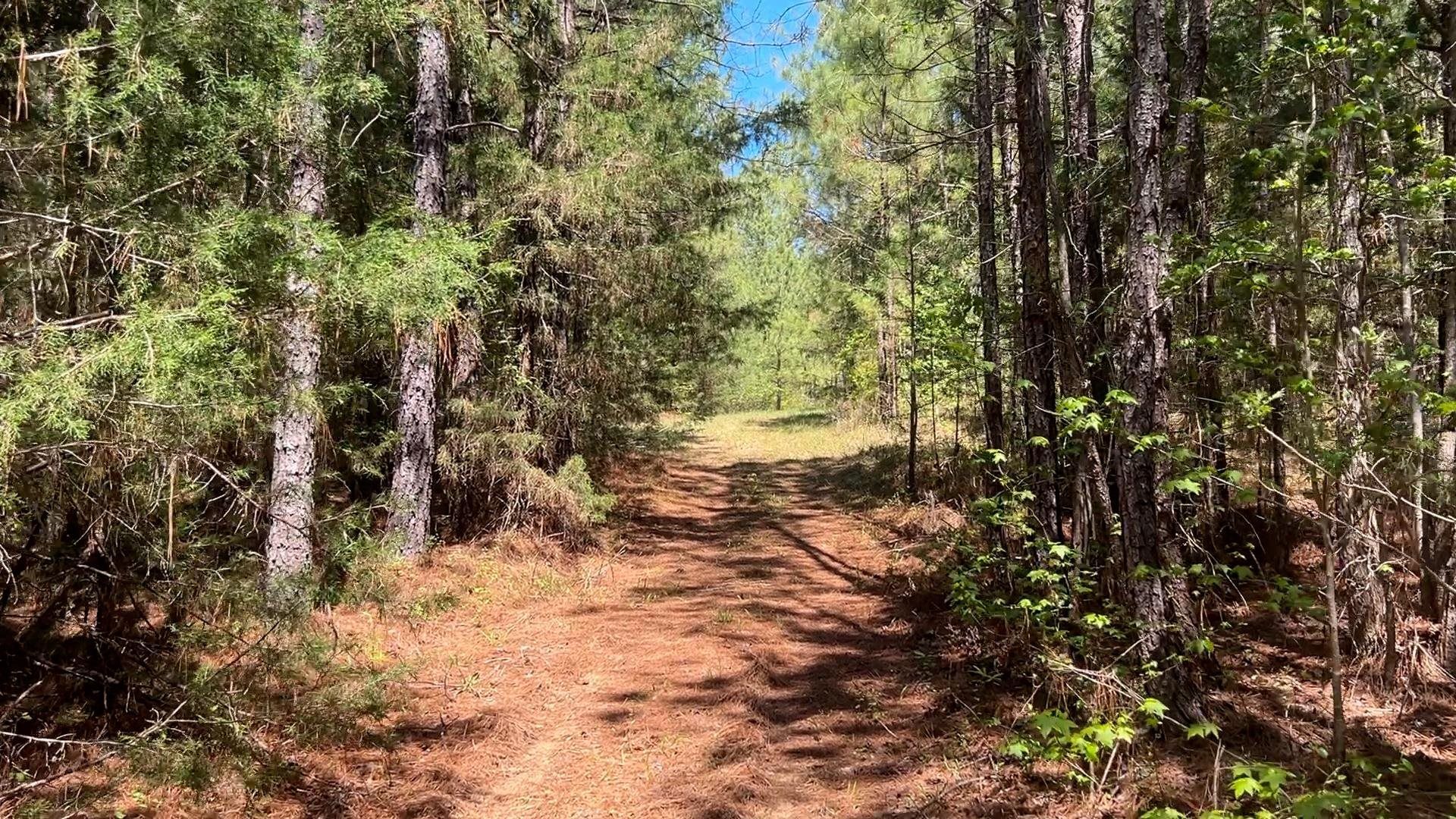 187 Ibis Ln.  Photo 60