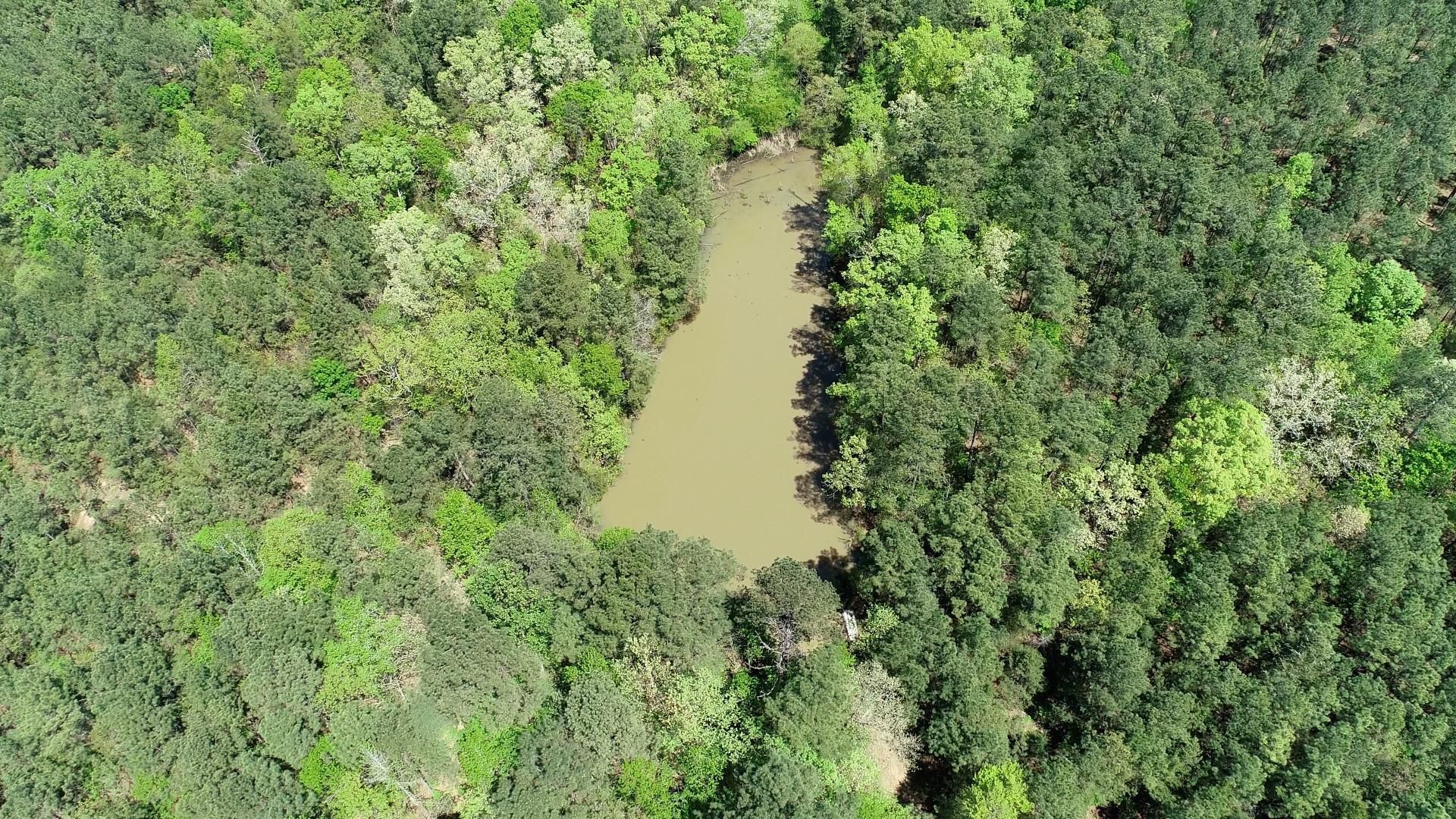 187 Ibis Ln.  Photo 61