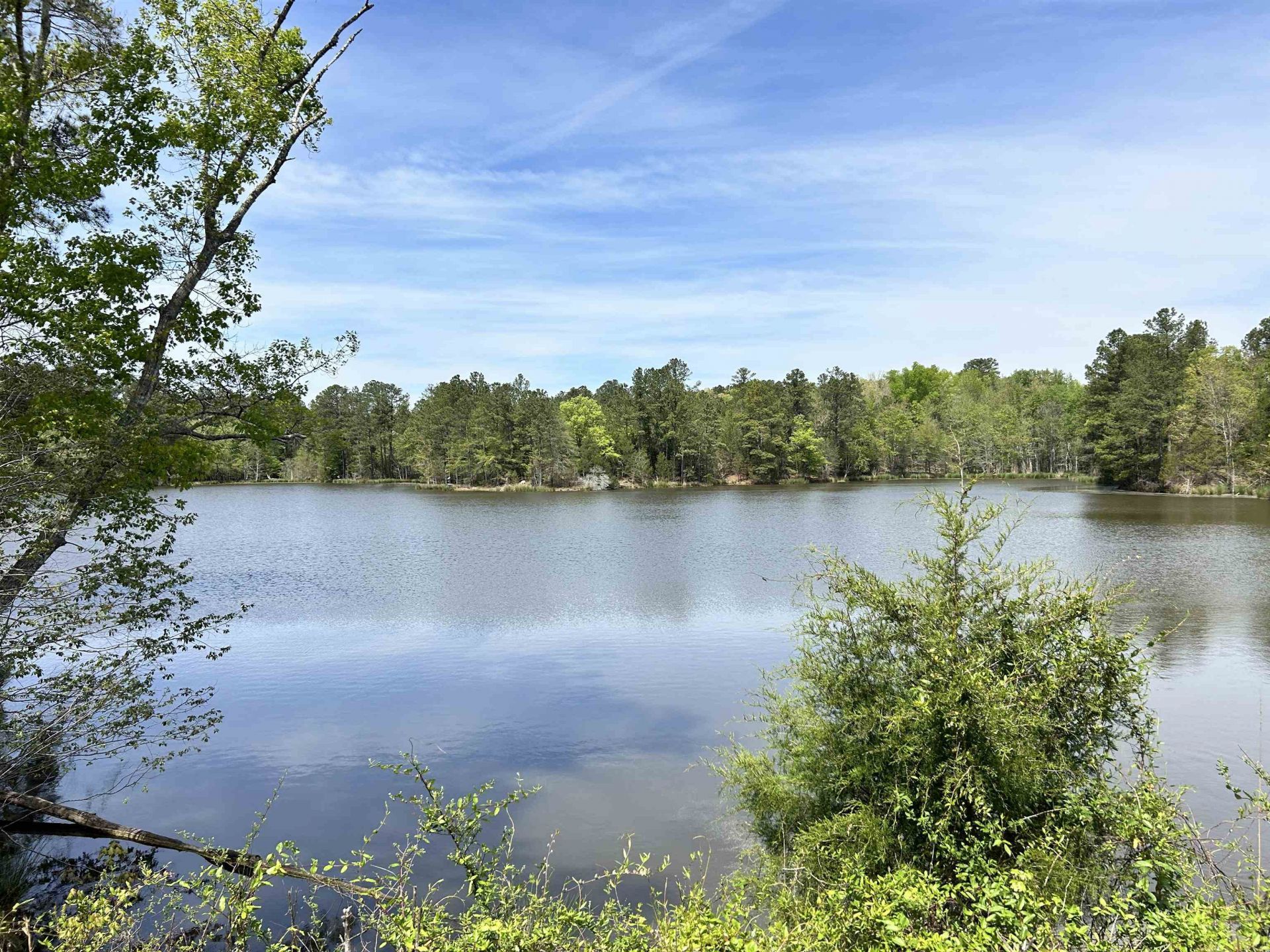 187 Ibis Ln.  Photo 7