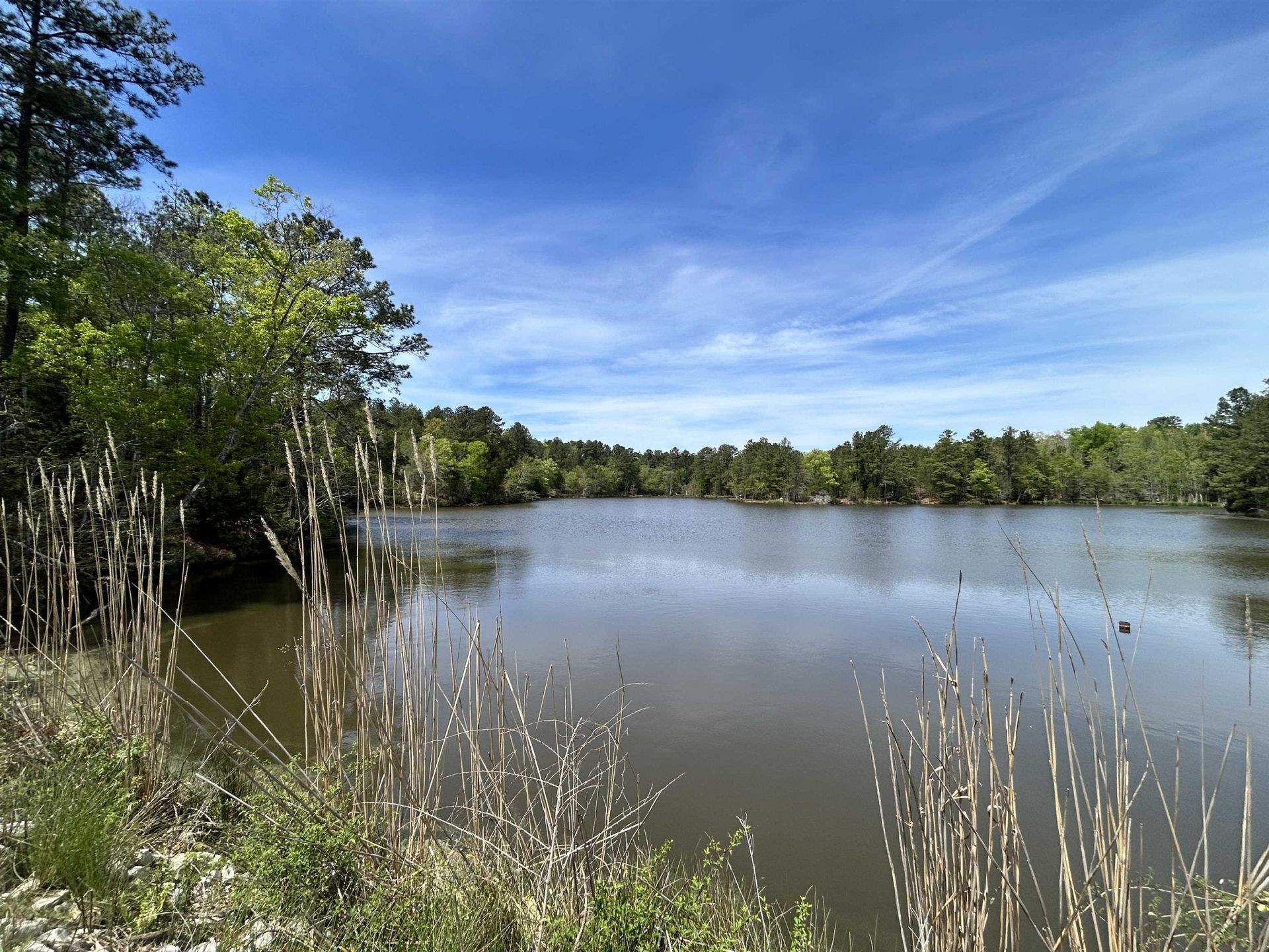 187 Ibis Ln.  Photo 8