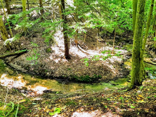 8 ACRES, 3rd Street, Onekama, MI 49675