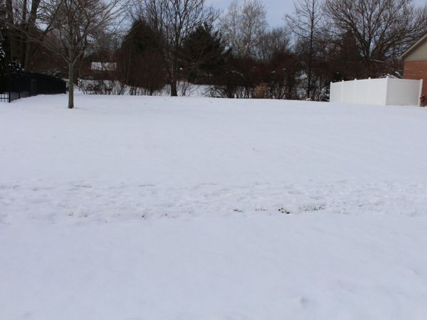 12377 Spencer Lane, Carleton, MI 48117