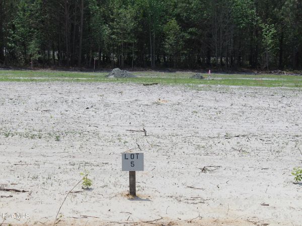 950 Blind Bridge Road , Magnolia, NC 28453