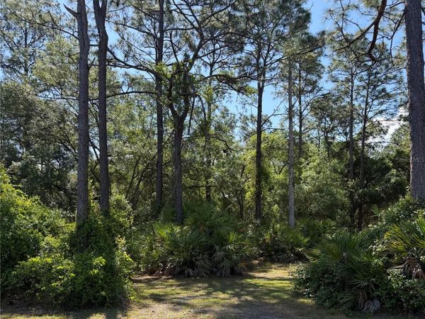 SE 180TH AVENUE ROAD, OCKLAWAHA, FL 32179