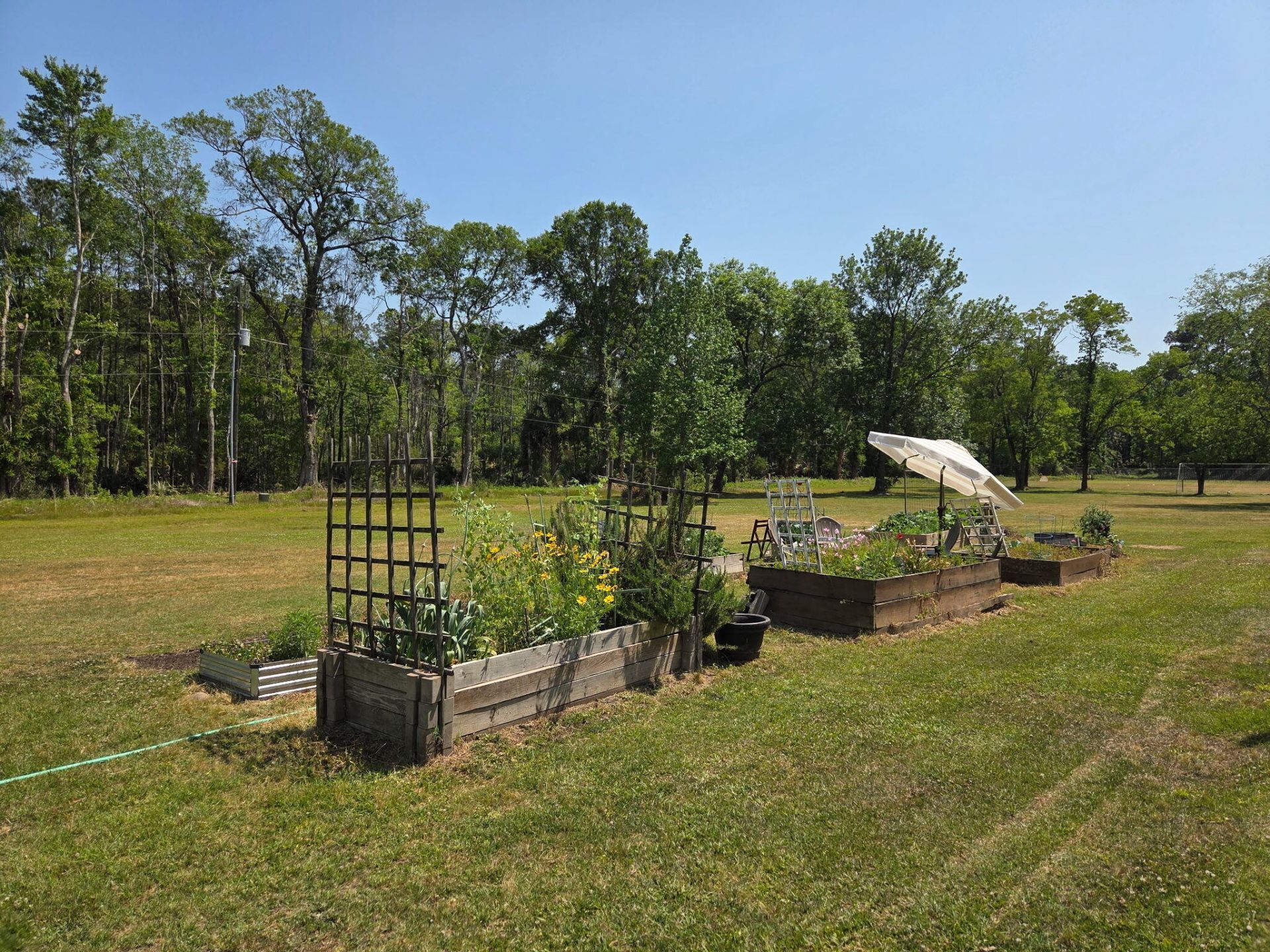 1813 Overrun Street Photo 39